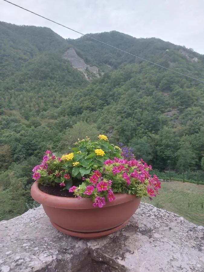 B&B Donnini Firenzuola Bed & Breakfast
